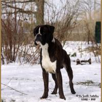 Jerico Neige 01.03.18 4 ans