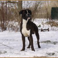 Jerico Neige 01.03.18 4 ans