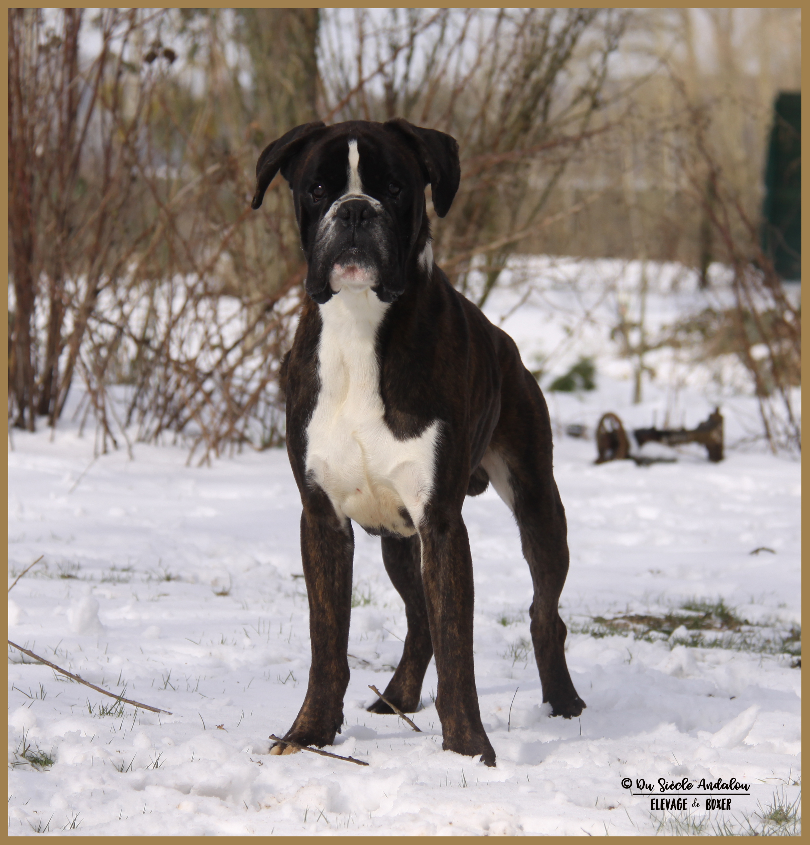 Jerico Neige 01.03.18 4 ans