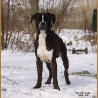 Jerico Neige 01.03.18 4 ans