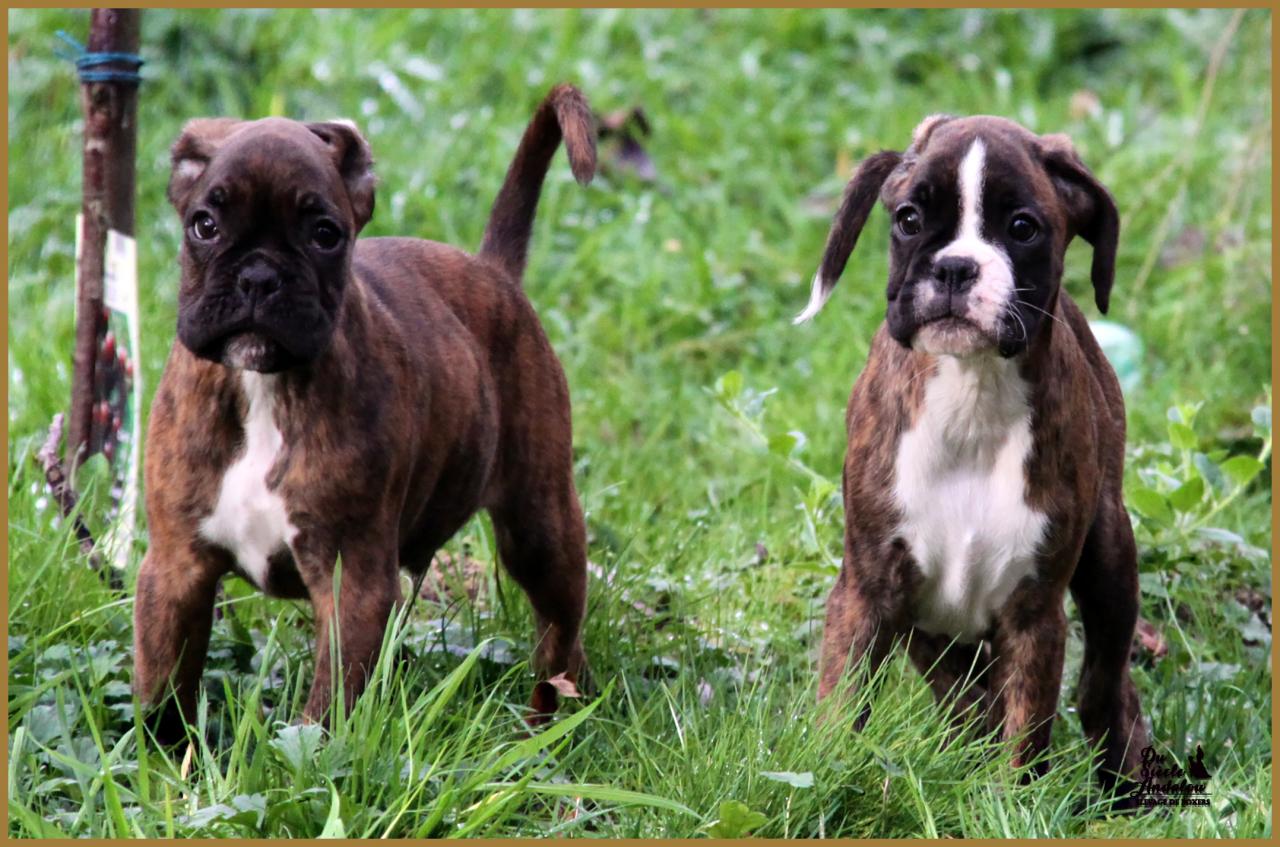 Juka et Jitano 28.11.14  