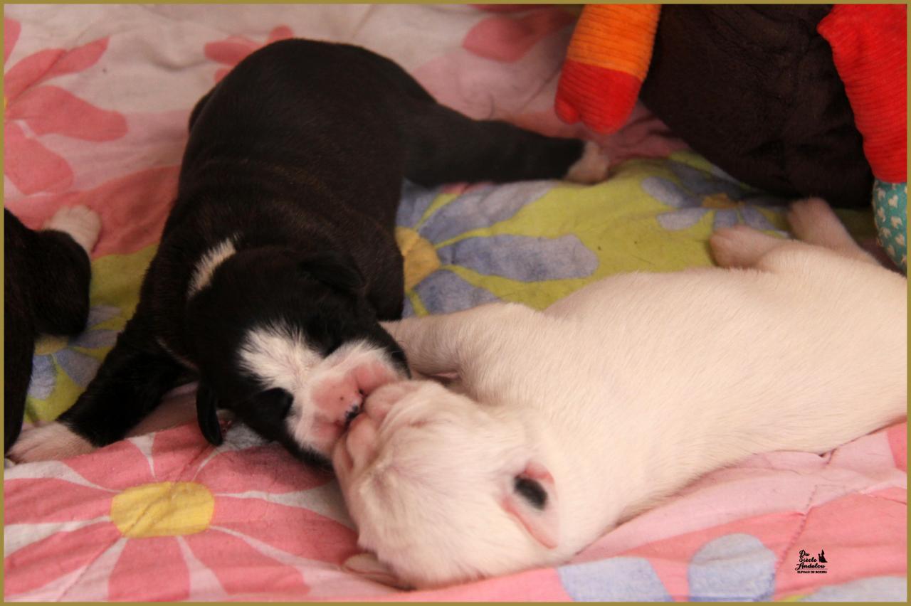 Bisous ! Linda & Lizzie 8-j