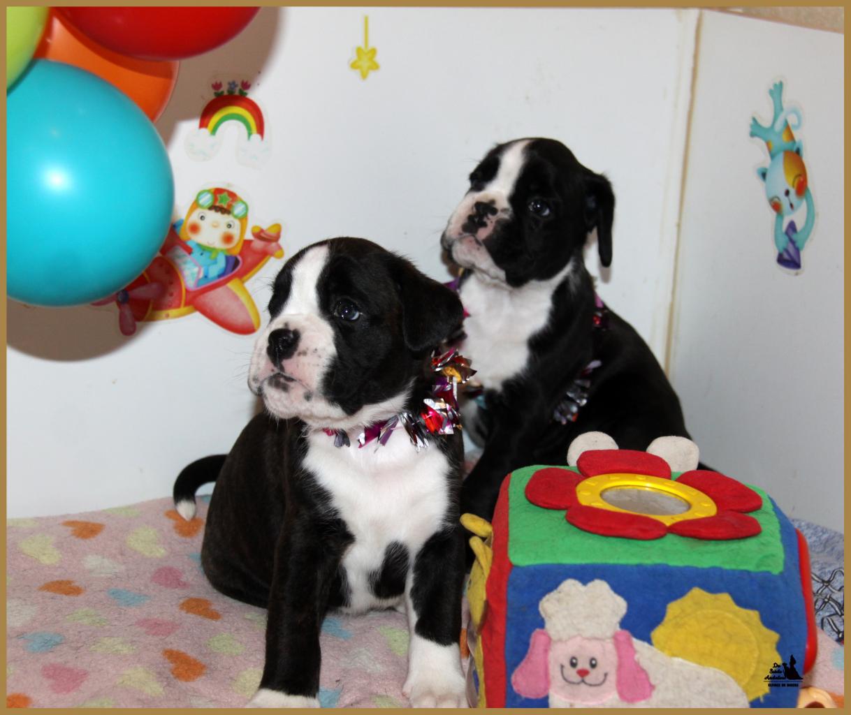 Lizzie et Lwillow  1 mois