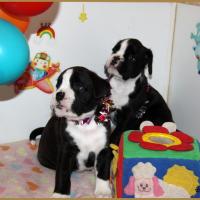 Lizzie et Lwillow  1 mois