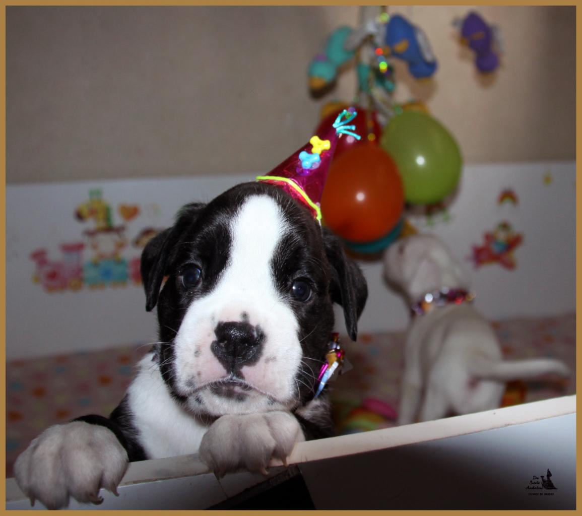 Lizzie, fête 1 mois