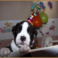 Lizzie, fête 1 mois