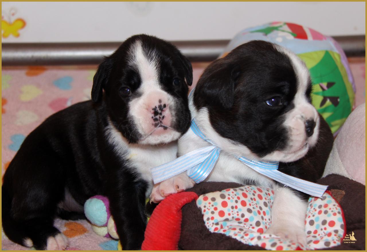 Loïs & Lwillow, 16 Jours