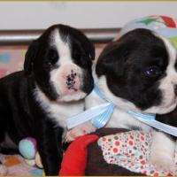 Loïs & Lwillow, 16 Jours