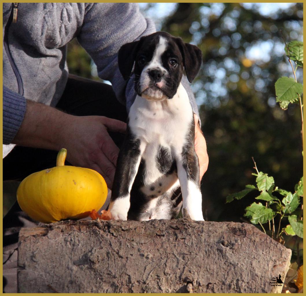  Lois, un jour d'automne  31.10.15