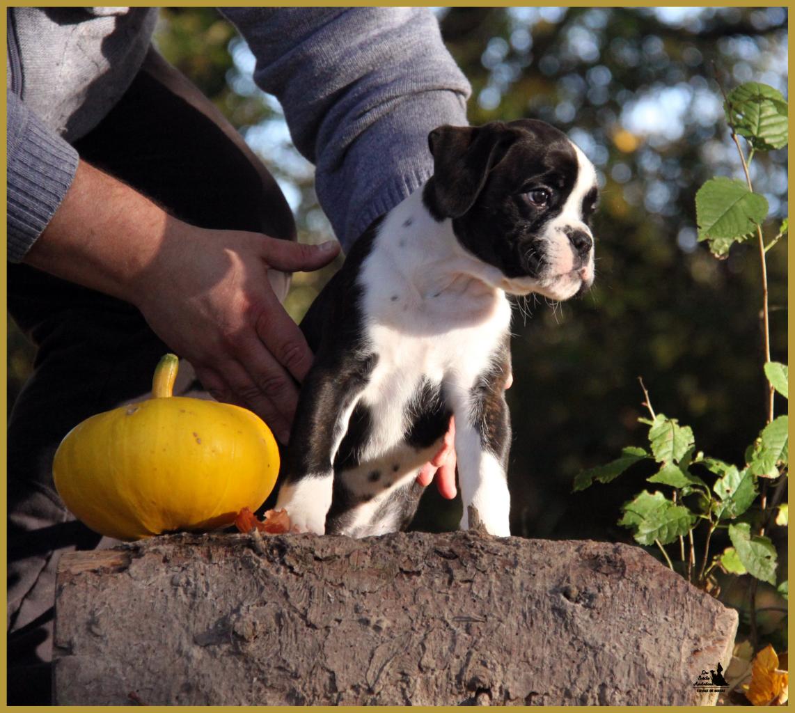  Lois, un jour d'automne  31.10.15