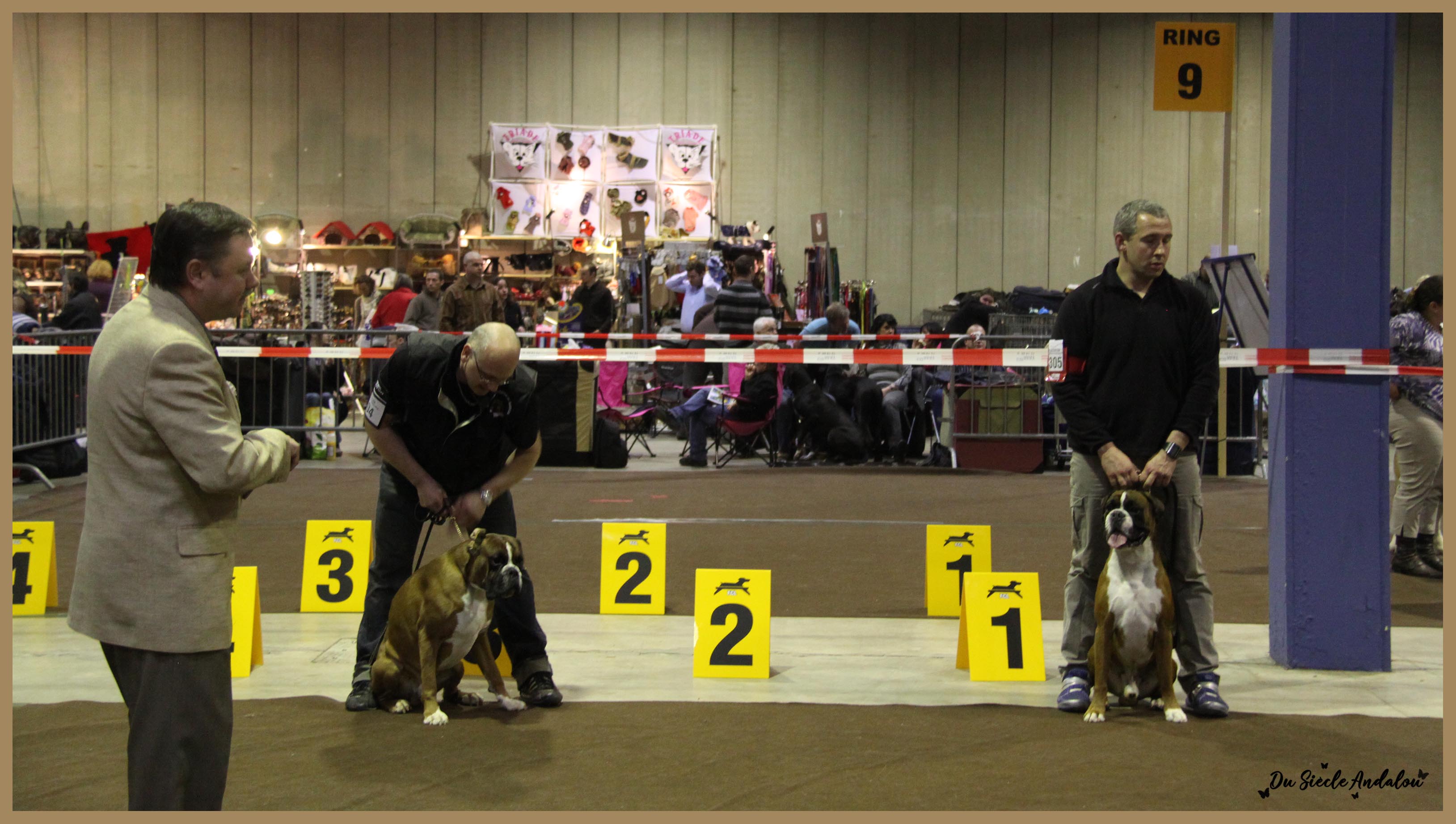 Chelton Luxembourg 2010