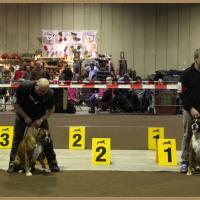 Chelton Luxembourg 2010