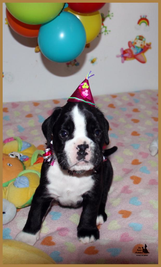 Lwillow, fête 1 mois