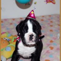 Lwillow, fête 1 mois