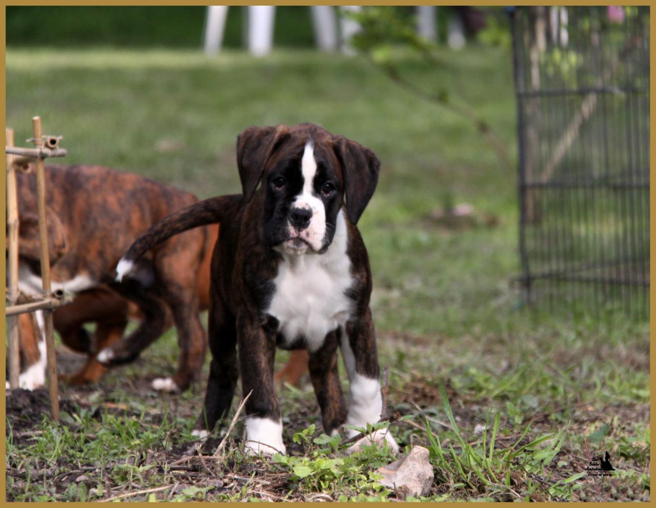 MaDalton (Macarena) 14.05.16 la première sortie ! 