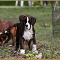 MaDalton (Macarena) 14.05.16 la première sortie ! 