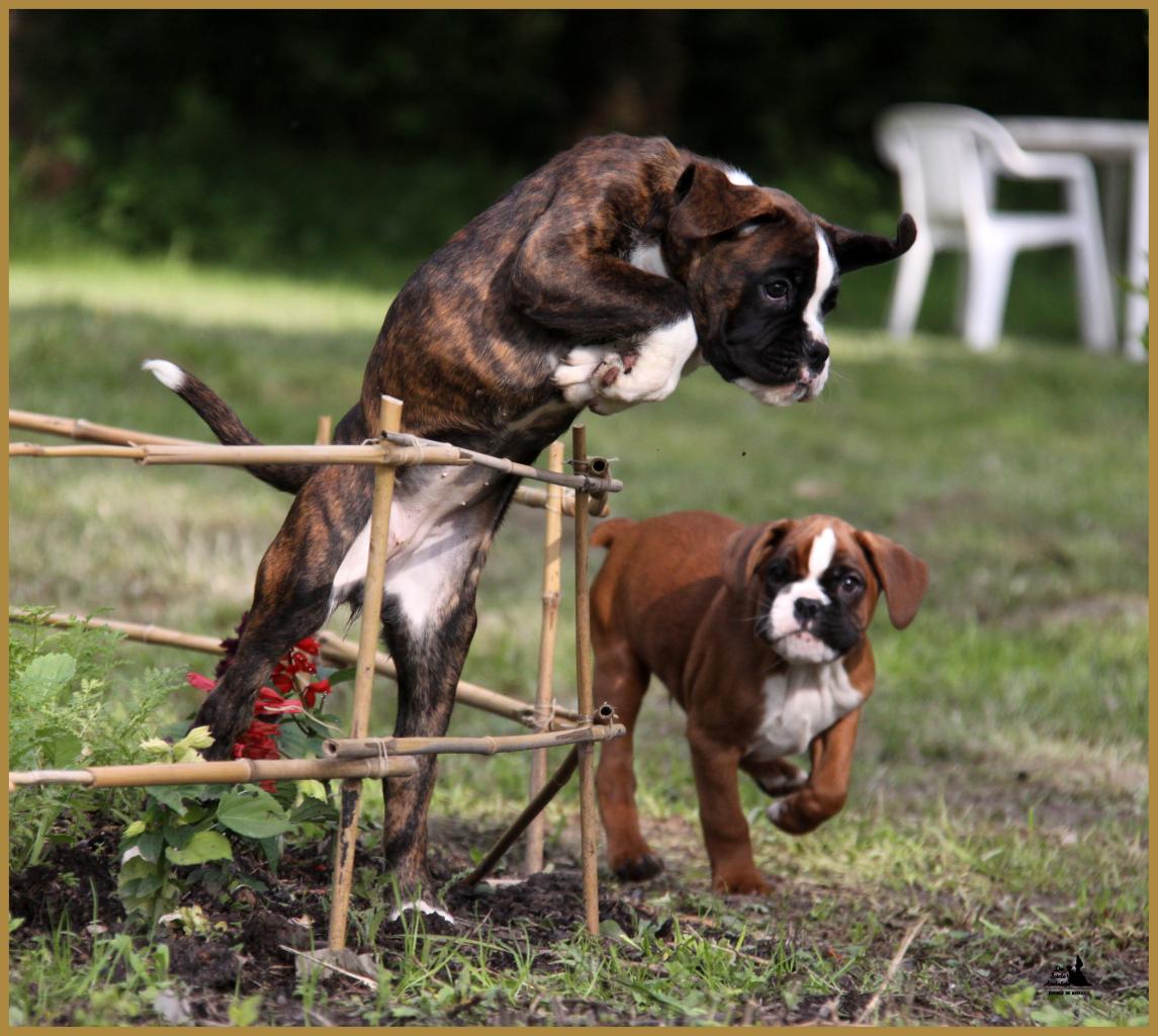 Mango & MaDalton 14.05.16, la première sortie ! 