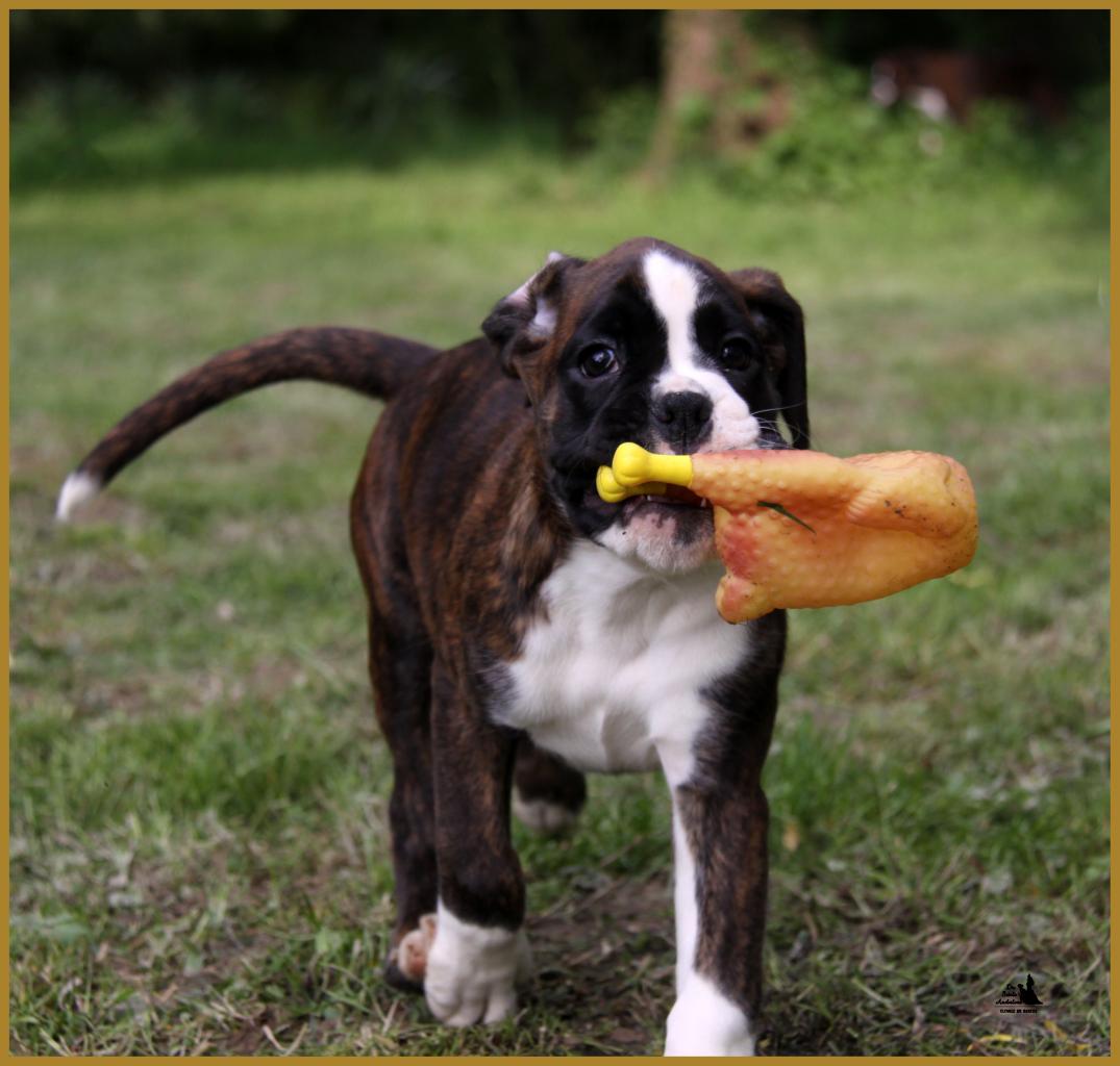 MaDalton (Macarena) 14.05.16 la première sortie ! 