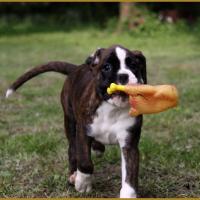 MaDalton (Macarena) 14.05.16 la première sortie ! 