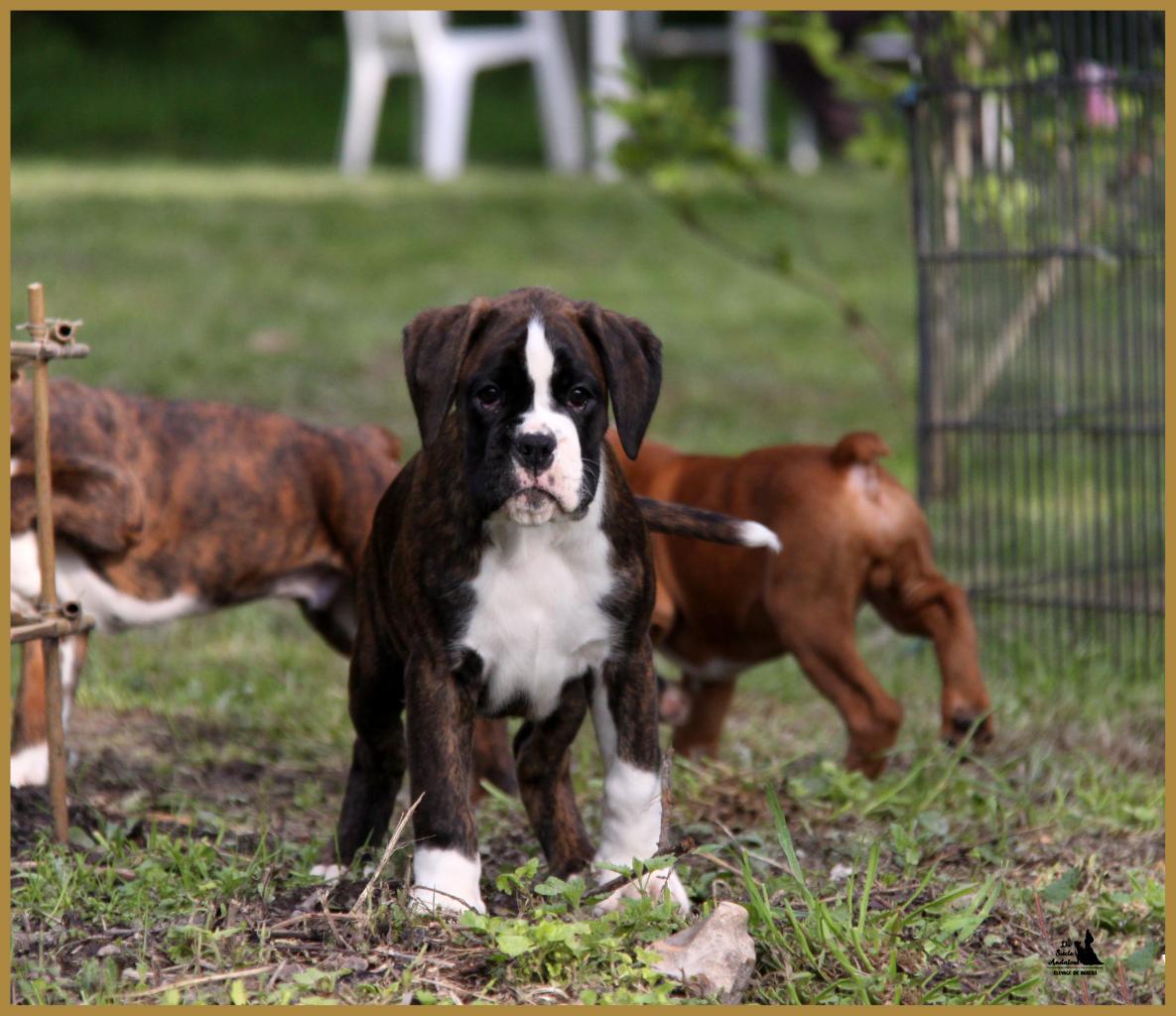 MaDalton (Macarena) 14.05.16 la première sortie ! 