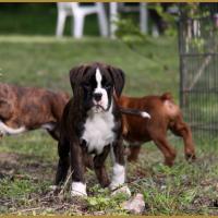 MaDalton (Macarena) 14.05.16 la première sortie ! 