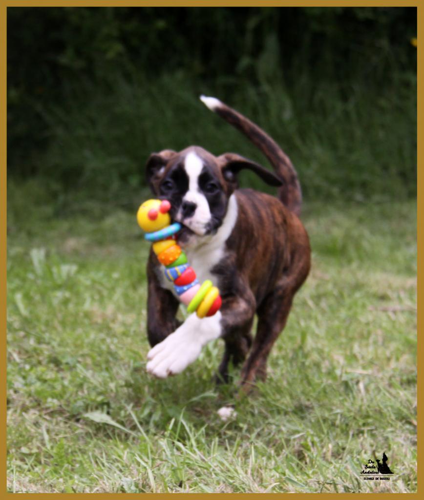 MaDalton (Macarena),  15.05.16  