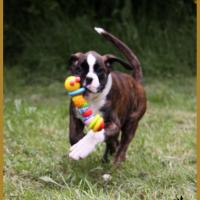 MaDalton (Macarena),  15.05.16  