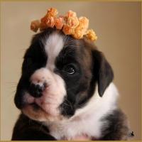 MaDalton (Macarena), 25 jours 