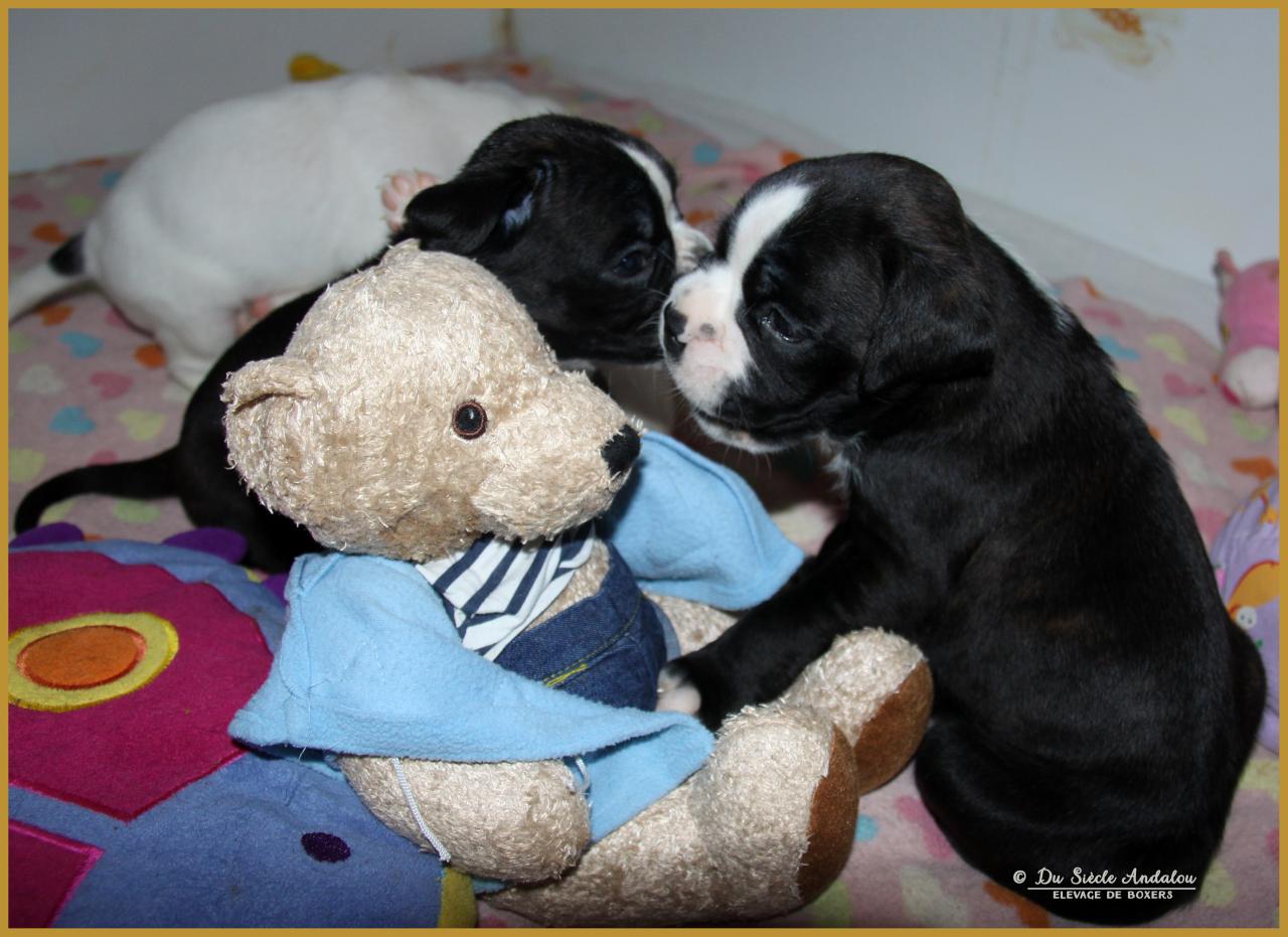 Maido et Mike , 31 Jours