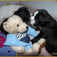 Maido et Mike , 31 Jours