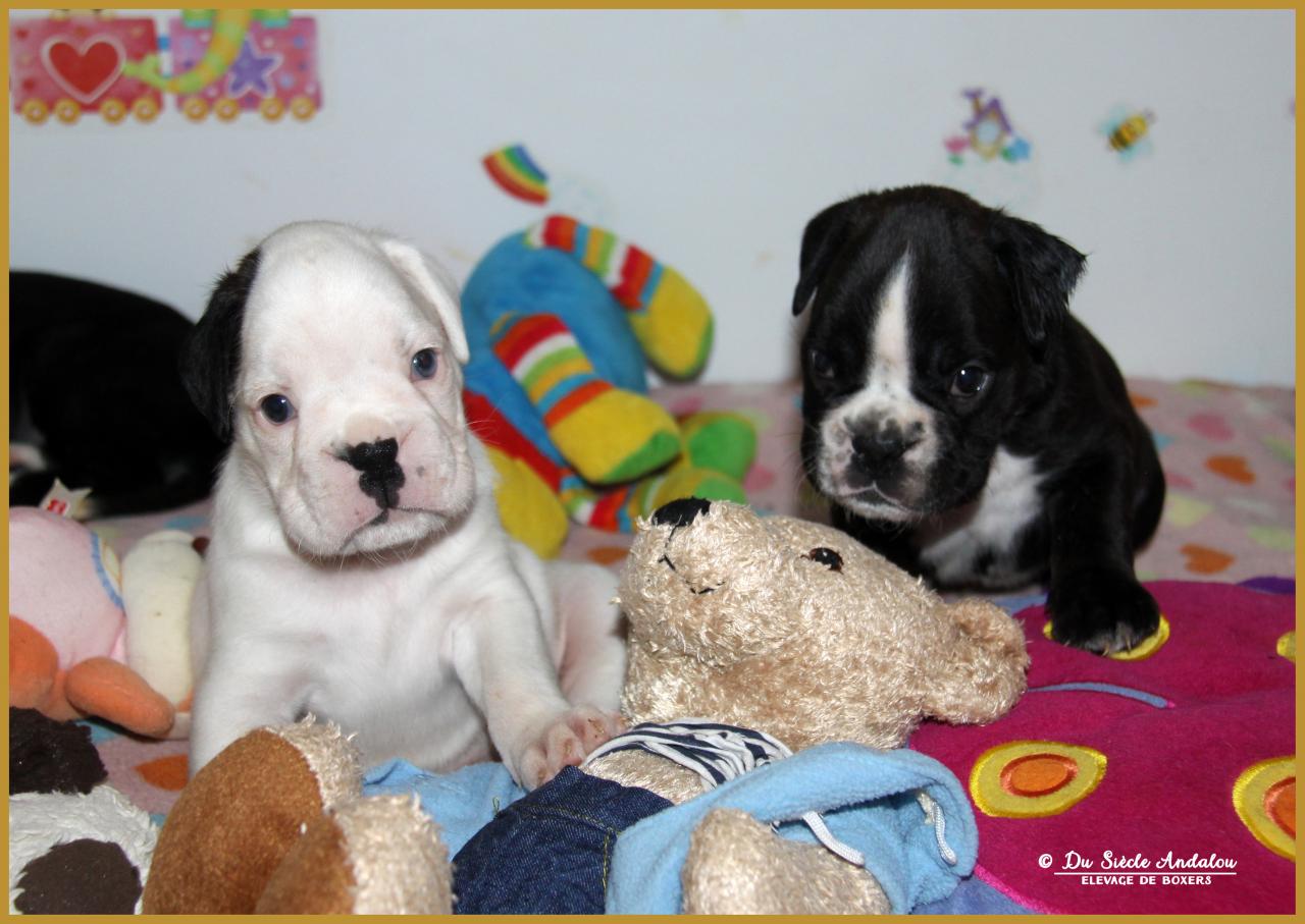 Maido et Moya, 31 Jours