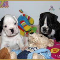 Maido et Moya, 31 Jours