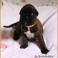 Orion, 15 jours 28.07.18 