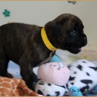 Orion, 24 jours 07.08.18