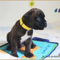 Orion, 24 jours 07.08.18