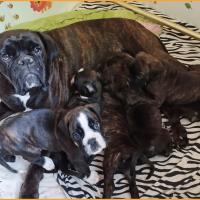 Maman et bebes 29.05.22