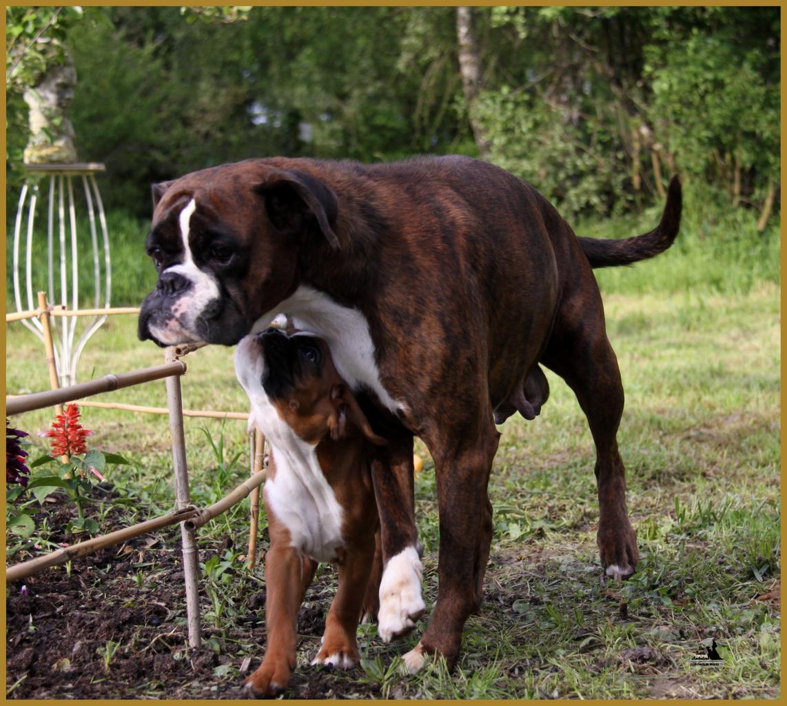 Maman & Mango, 14.05.16 La première sortie !