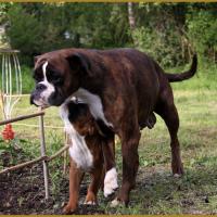 Maman & Mango, 14.05.16 La première sortie !