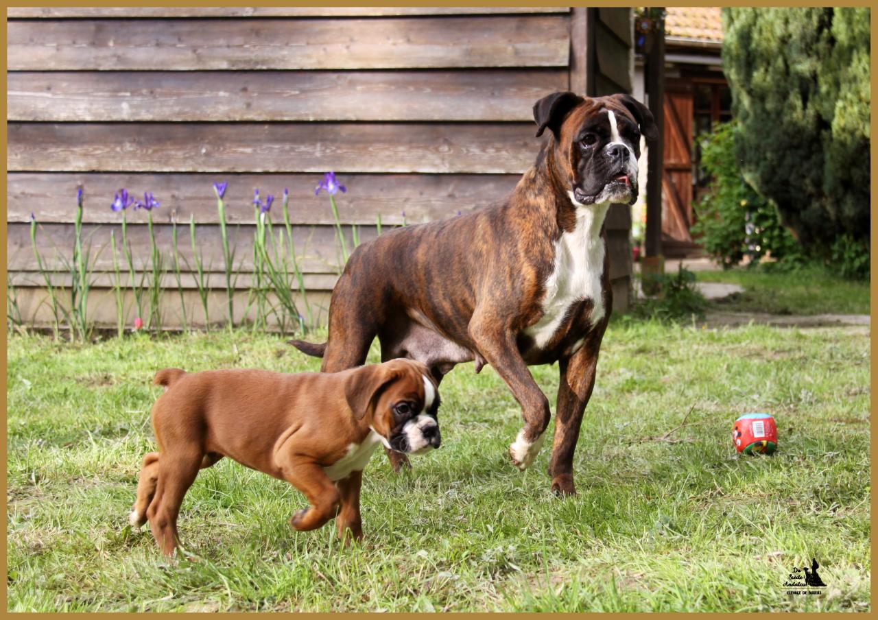 Maman & Mango, 14.05.16