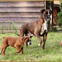 Maman & Mango, 14.05.16