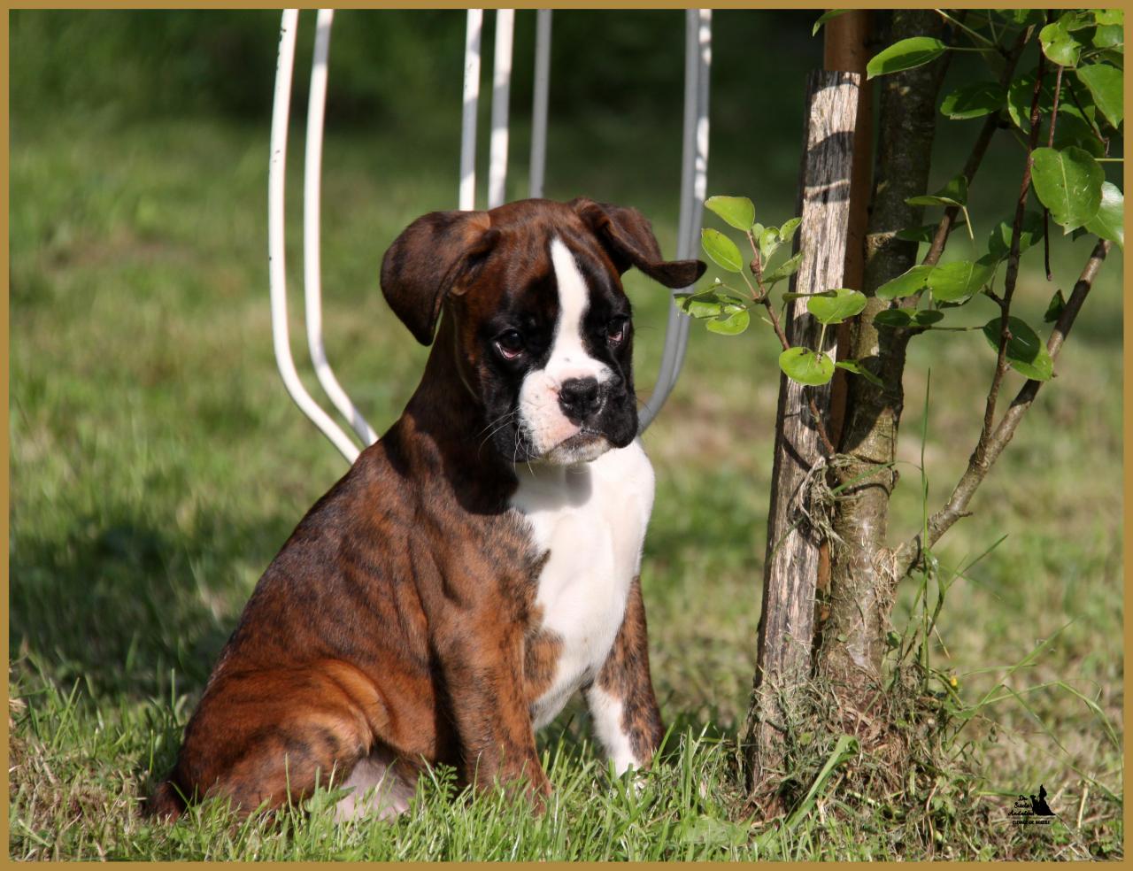 Mambo 14.05.16  la première sortie ! 