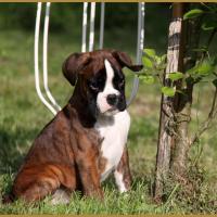 Mambo 14.05.16  la première sortie ! 