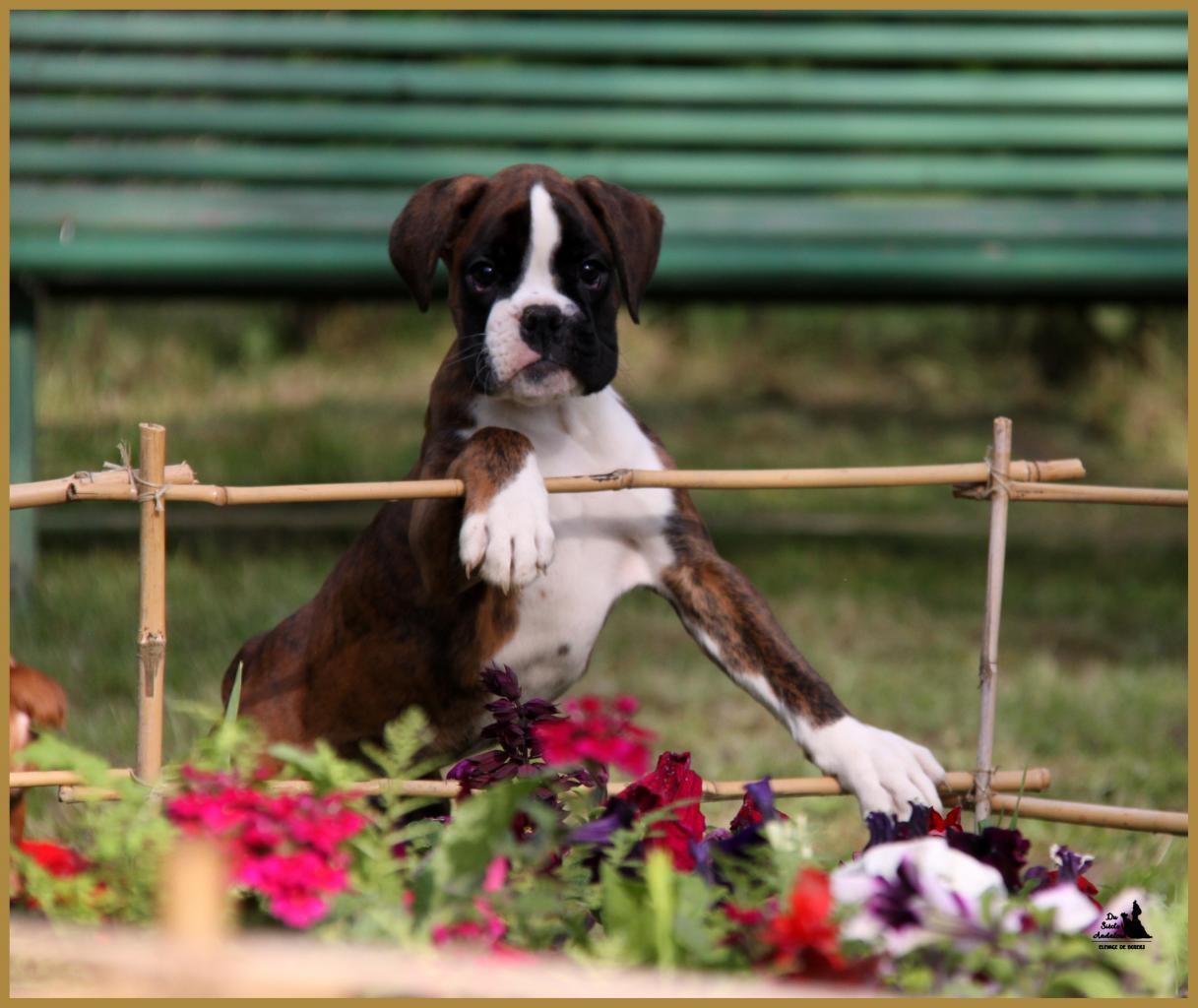 Mambo 14.05.16 la première sortie ! 