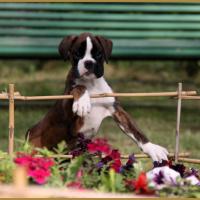 Mambo 14.05.16 la première sortie ! 