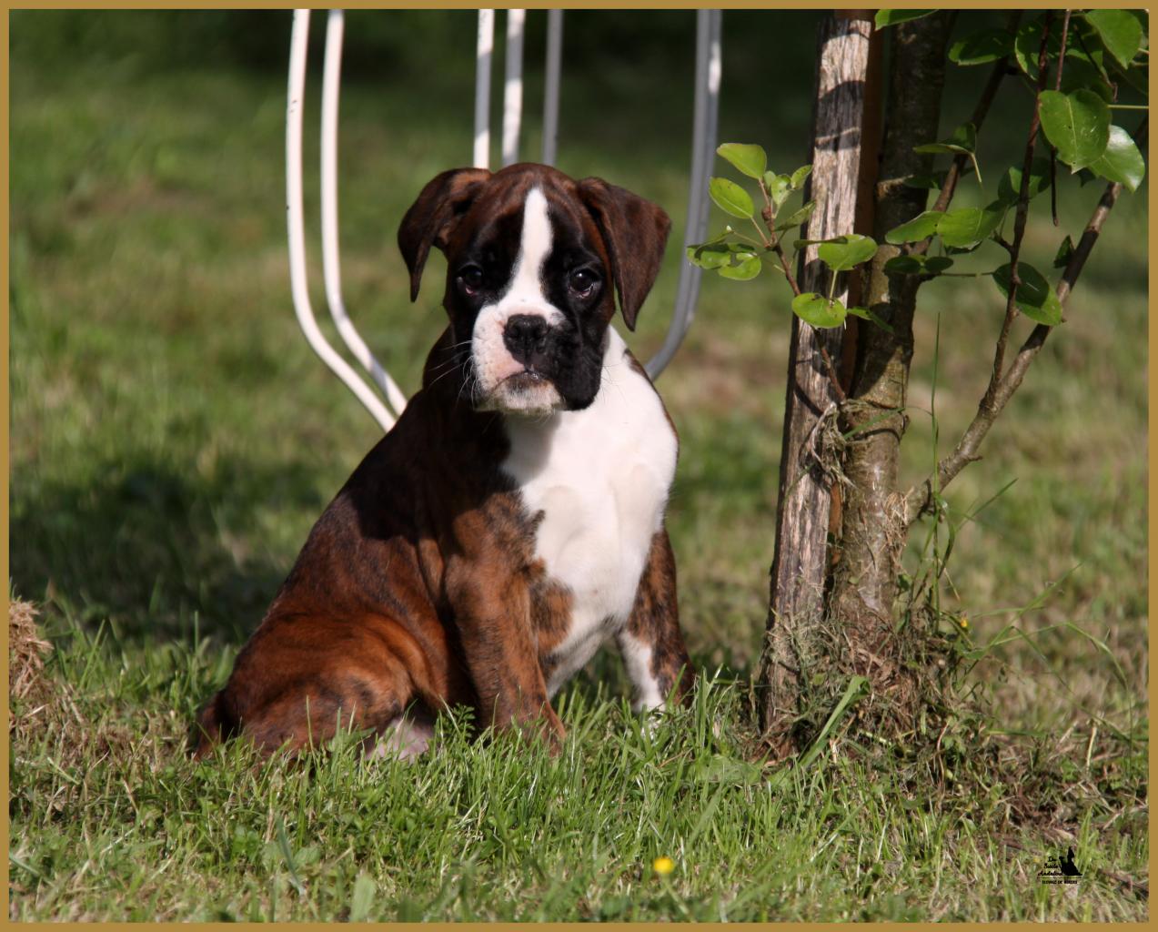 Mambo 14.05.16, la première sortie ! 