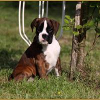 Mambo 14.05.16, la première sortie ! 