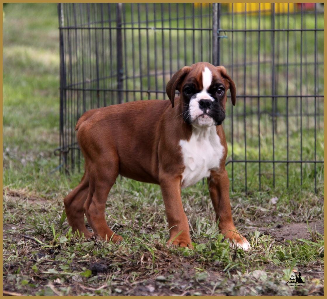 Mango 14.05.16, la première sortie ! 