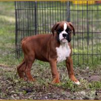 Mango 14.05.16, la première sortie ! 