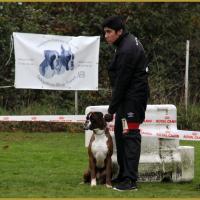 Azzaro, Marcoussis 18.10.15  