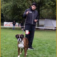 Azzaro, Marcoussis 18.10.15  